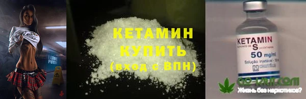 прущие грибы Красноперекопск