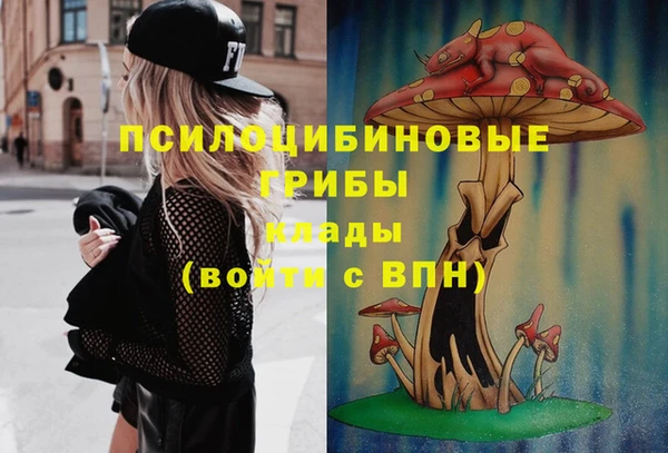 дживик Дубовка